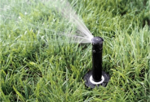 Automatycznego systemu nawadniania na zielony trawnik